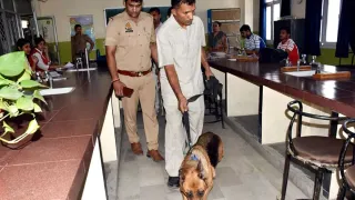 14-Year-Old Behind Hoax Email To Delhi School, Wanted To Skip Classes: Police